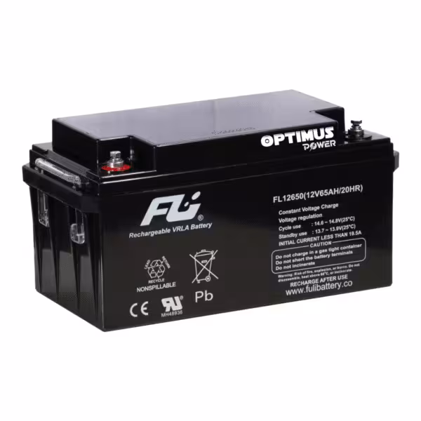 Batería Sellada AGM 12V 65Ah POWEST FL12650GS | 10 Años | Alta Capacidad | UPS y Respaldo de Energía