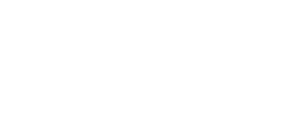 Optimus Technology